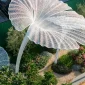 316 stainless steel shade sculptures for public use made by China fabrication company WEMEDEC