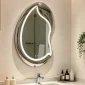 Artistic metal Stainless Steel Mirror Polishing Decor Concave Metal Wall Mirror is also called morden sculptural art decor Balloon Wall Mirror Sculpture China supplier manufacturer WEMEDEC company